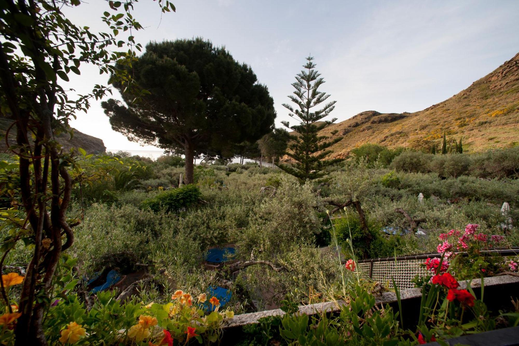 Hotel Cala Joncols Roses Luaran gambar