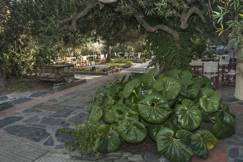 Hotel Cala Joncols Roses Luaran gambar