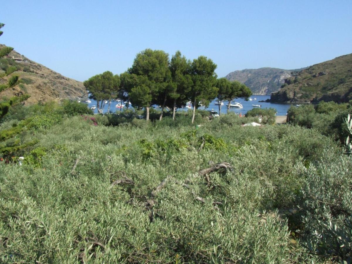 Hotel Cala Joncols Roses Bilik gambar